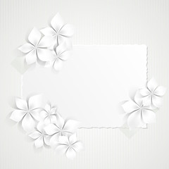 Floral Background with white flowers- Sfondo con fiori bianchi