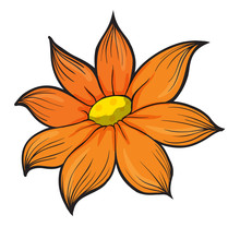 big-orange-flower-free-stock-photo-public-domain-pictures