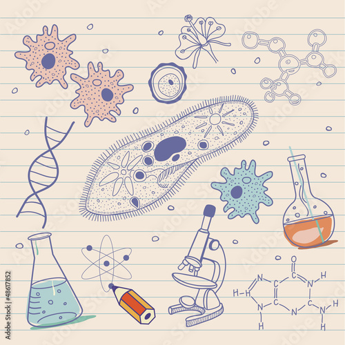 Fotografie, Tablou Biology sketches background in vintage style