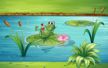 Wall Mural - A frog