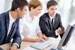 © chagin - Young business people. Teamwork.