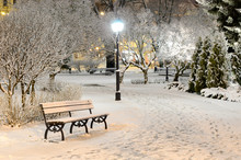 Illuminated City Park At Night. Bench And Lantern Close-up. Snow-covered Trees After A Blizzard. Dark Atmospheric Winter Cityscape. Tourism, Recreation, Christmas, Vacations, Downtown. Panoramic View