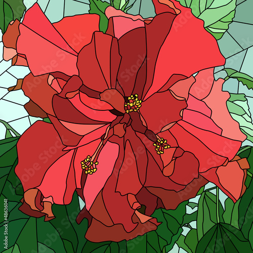 Fototapeta do kuchni Vector illustration of flower hibiscus (Chinese rose).