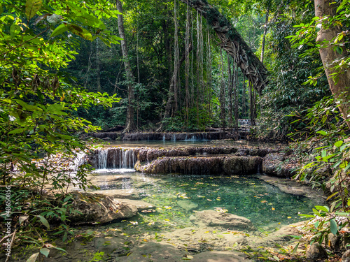 Foto-Stoffbanner - Lianas in the rainforest. Erawan National Park in Thailand (von Sergey Belov)