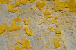 Abstract raw old paint dirty wall background