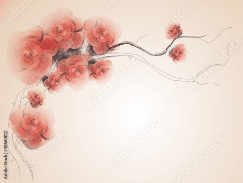 Naklejka na szybę Wild dog rose / Floral vintage background