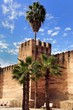 Marokko Taroudant Stadtmauer