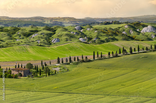 Fotografie, Obraz Farmhouse and alley in near Siena, Crete Senesi, Tuscany, Italy