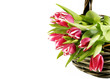 canvas print picture - Frühlingsgruß - Tulpen im Korb
