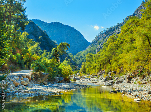 Naklejka na drzwi Mountain river