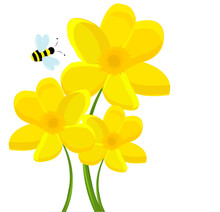 Vector Background With Flowers And Bees