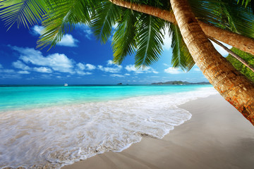 Wall Mural - beach at prtaslin island, seychelles