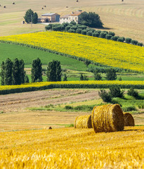 Wall Mural - Marches (Italy) - Farm