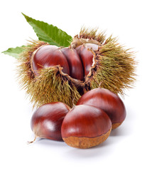 Wall Mural - chestnuts