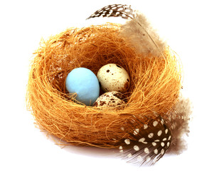 quail eggs in a nest