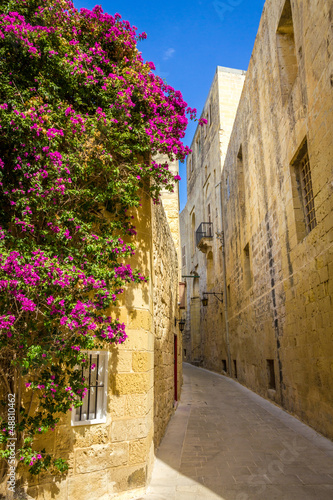 Fototapeta na wymiar An ancient street of picturesque Mdina