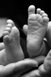 Parents holding baby feet