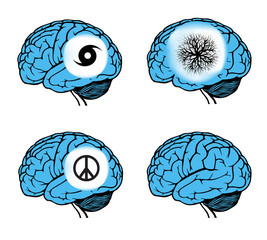 Poster - human brain model