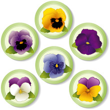 Spring Flower Buttons, Pansies And Johnny Jump Ups (Violas)