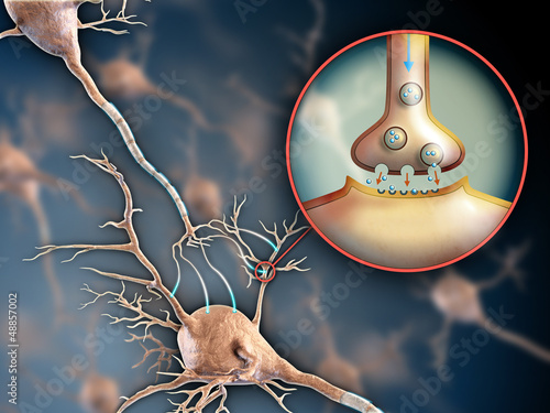 Naklejka - mata magnetyczna na lodówkę Neuron synapse