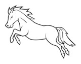 Fototapeta  - Vector illustration of horse jump