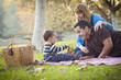© Andy Dean - Happy Mixed Race Ethnic Family Having Picnic In The Park