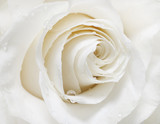 160_f_48880652_rldvzilxt7uduq1wlrajmhiyeteslqac