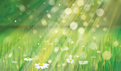 Wall Mural - print