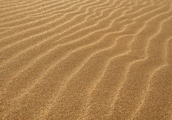  Golden dunes