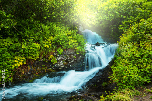 Obraz w ramie Creek in forest