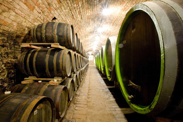 Wall Mural - wine cellar, Czech Republic