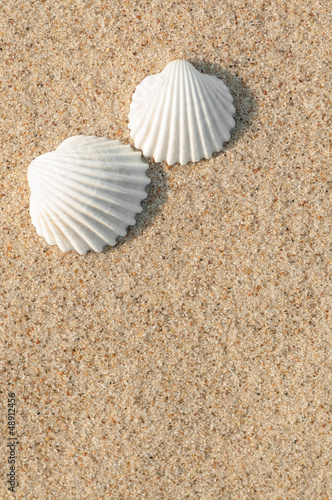 Tapeta ścienna na wymiar Zwei Herzmuscheln im Sand, Paar, Sommerurlaub zu zweit