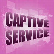 Captive Service Words On Digital Touch Screen And World Map