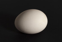 White Egg On Black Background