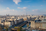 Fototapeta Paryż - View from Notre Dame of Paris
