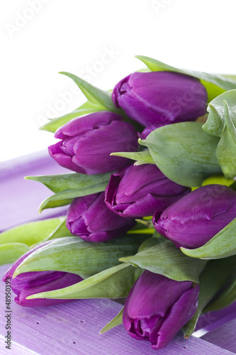 Board z aluminiowym obramowaniem Fioletowe tulipany - lila tulpen