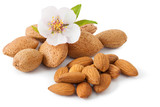 Almond with flower I