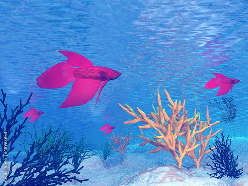 Obraz na płótnie canvas dwuczęściowy "dyptyk" Czerwone betta ryby - 3d render