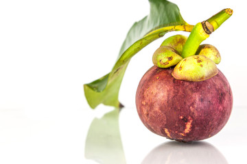 Mangosteen2