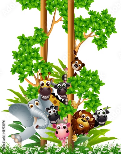 Plakat na zamówienie funny animal cartoon collection