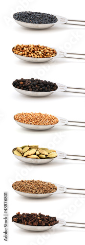 Fototapeta na wymiar Herbs and spices measured in metal tablespoons