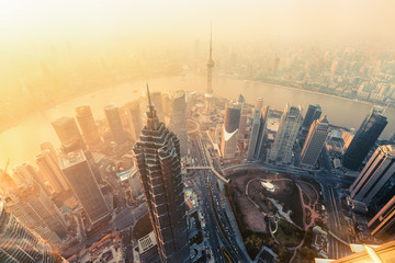 Fototapete - Shanghai skyline