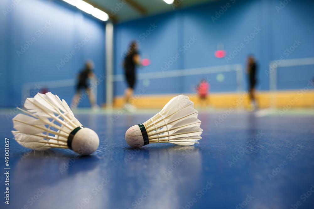 badminton - badminton courts with players competing; shuttlecock - obrazy, fototapety, plakaty 