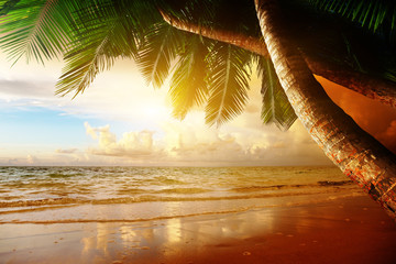 Wall Mural - sunrise on caribbean beach