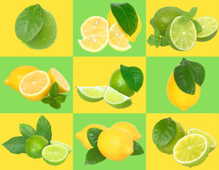 Sticker - Set of nine lime and lemon on a checkered background.