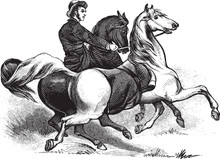 Man Riding Horses