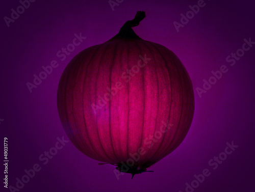 Tapeta ścienna Purpurowa cebula