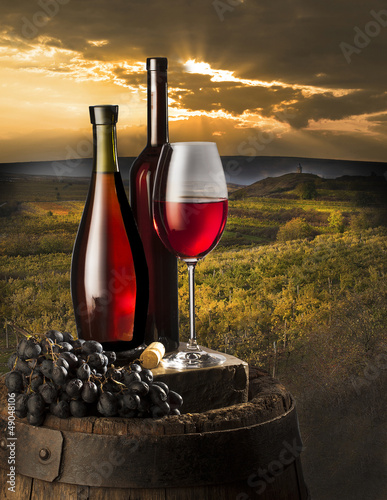 Plakat na papierze fotorealistycznym Martwa natura z czerwonym winem w winnicy