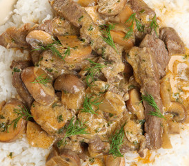 Sticker - Beef Stroganoff with Rice