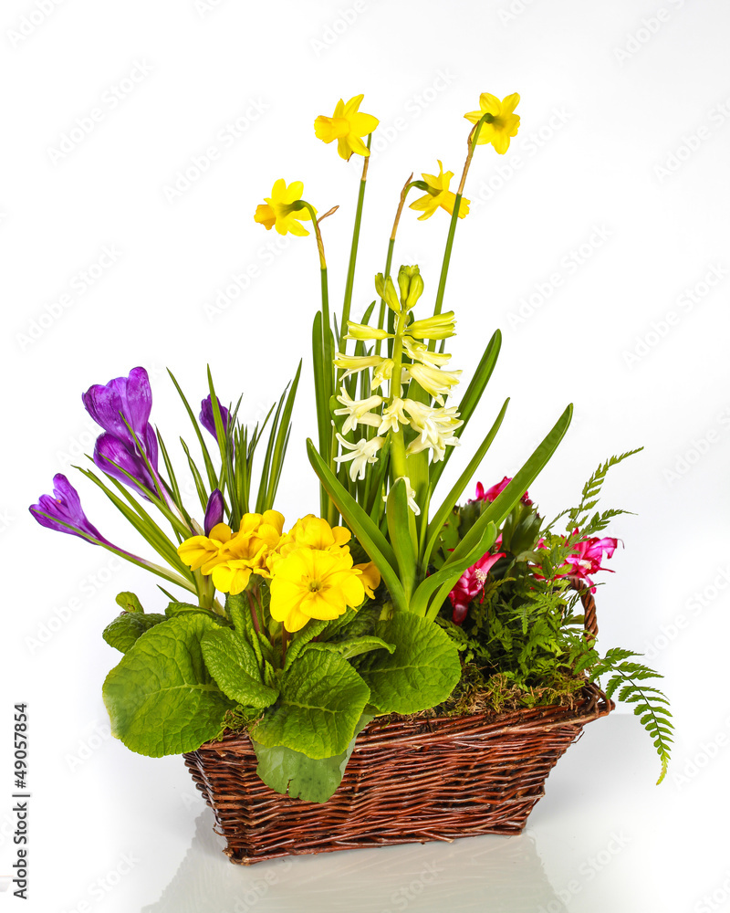 Stock-Foto „Frühlingsgesteck“